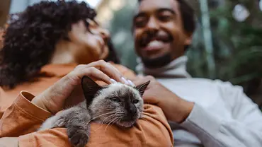 Ein Mann und eine Frau teilen einen innigen Moment. Auf dem Arm der Frau sitzt eine Katze. - Foto: blackCAT / iStock