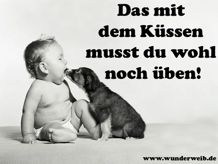 facebook bilder baby hund kuss b