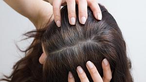 Farbshampoo Plantur 39 - Foto: istock/ Alina Humeniuk 