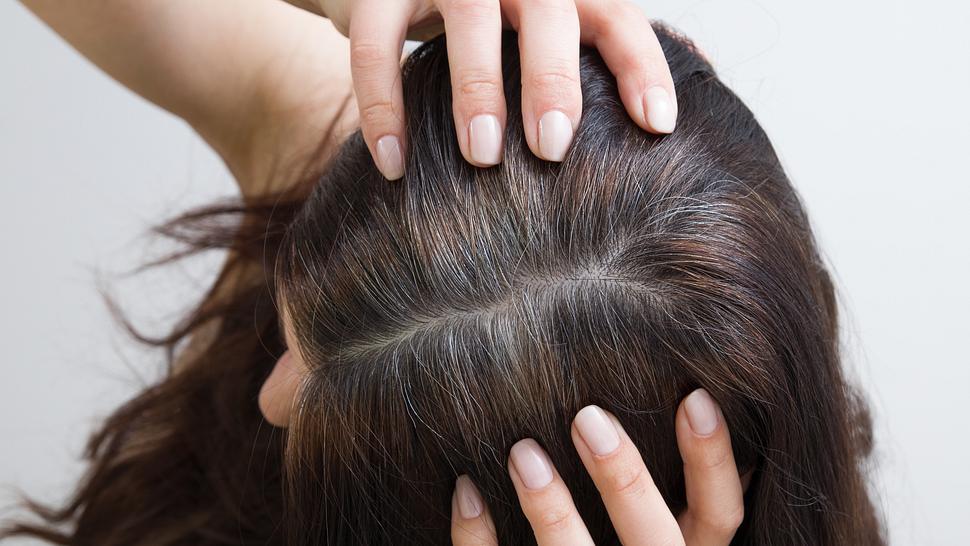 Farbshampoo Plantur 39 - Foto: istock/ Alina Humeniuk 