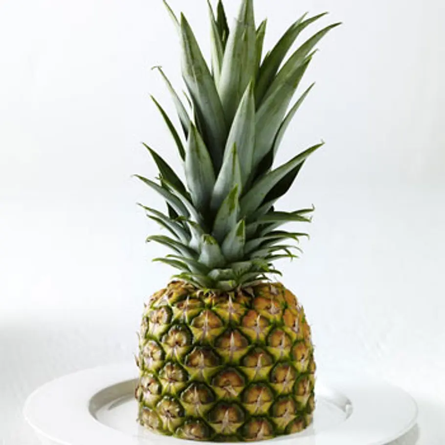 Die besten Fatburner fatburner ananas