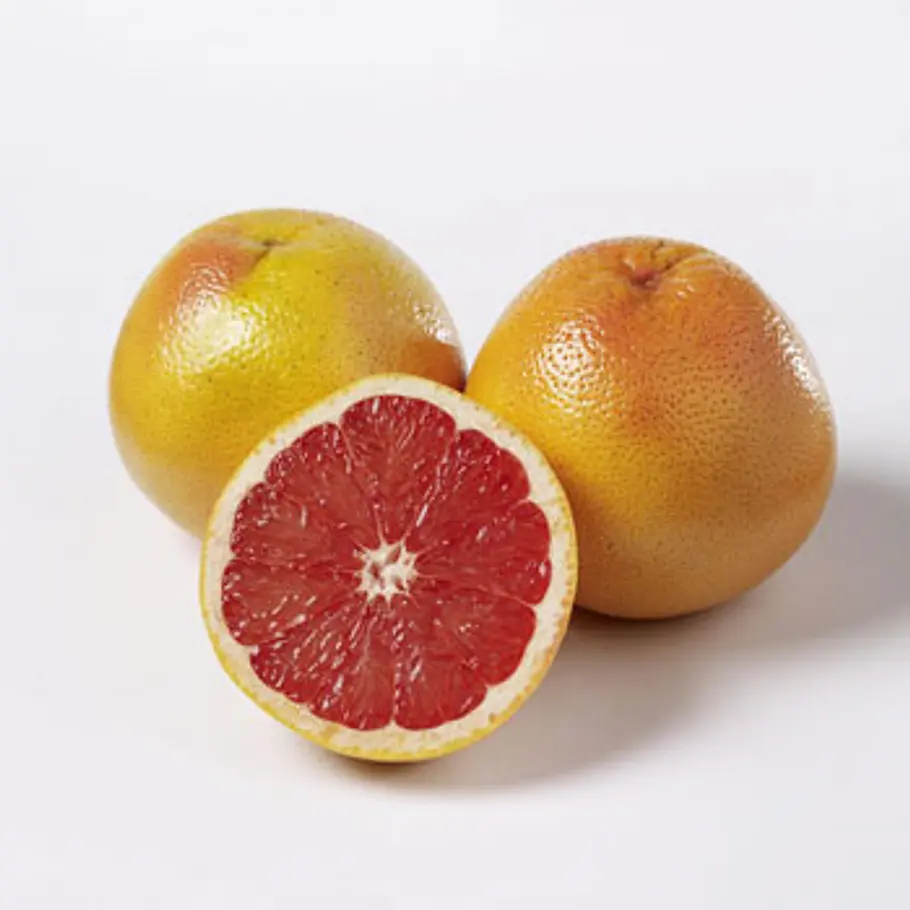 Die besten Fatburner fatburner grapefruit