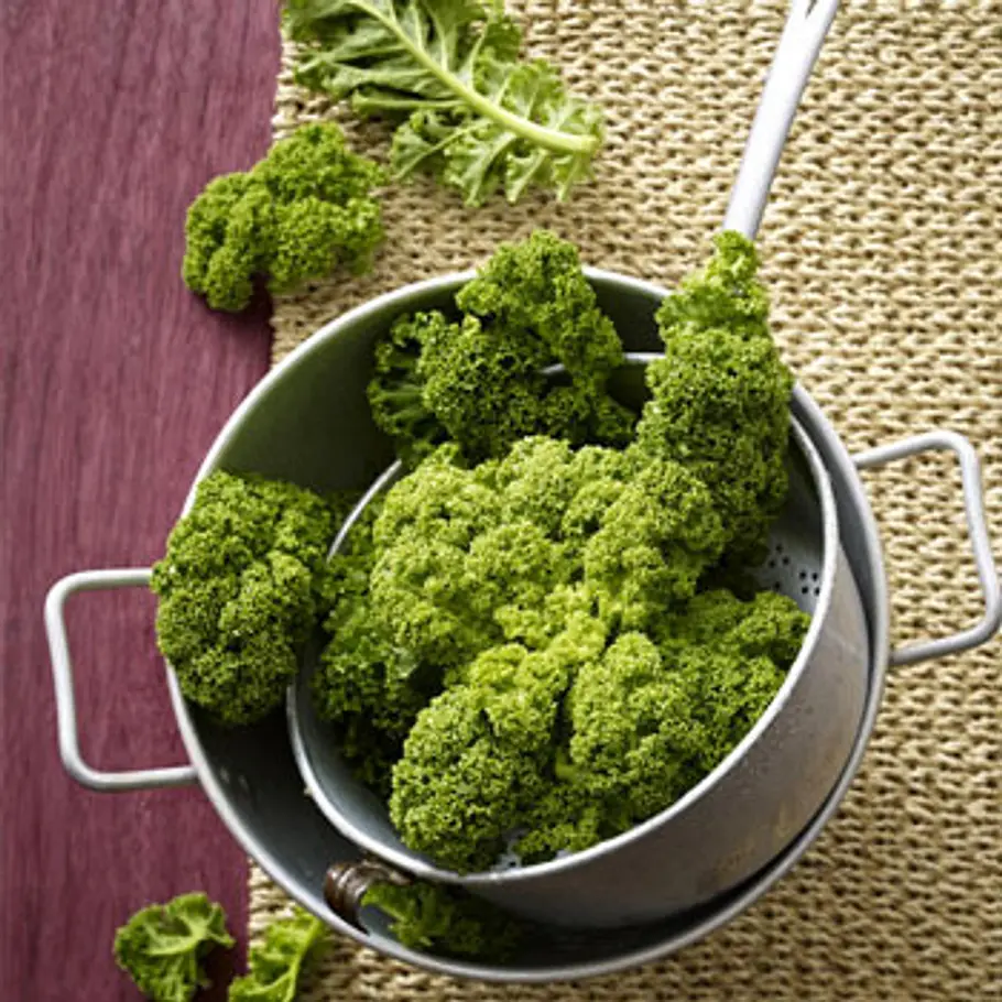 Die besten Fatburner fatburner gruenkohl