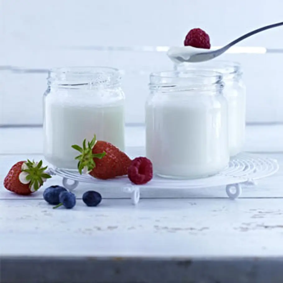 Die besten Fatburner fatburner joghurt