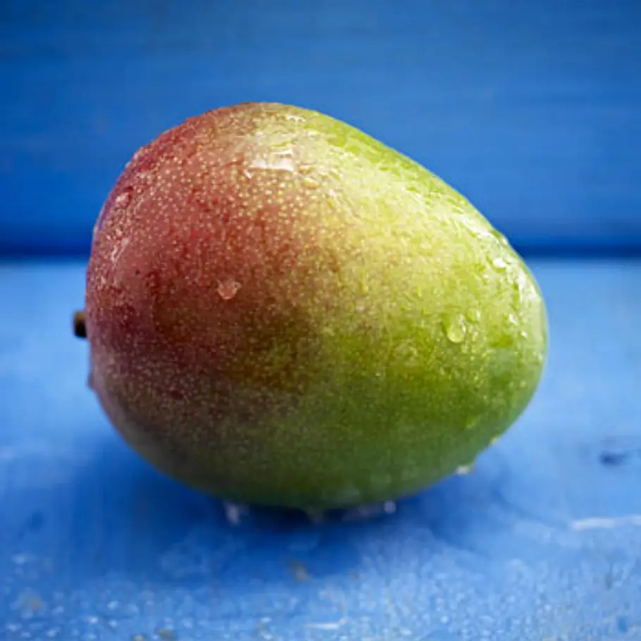 Die besten Fatburner fatburner mango