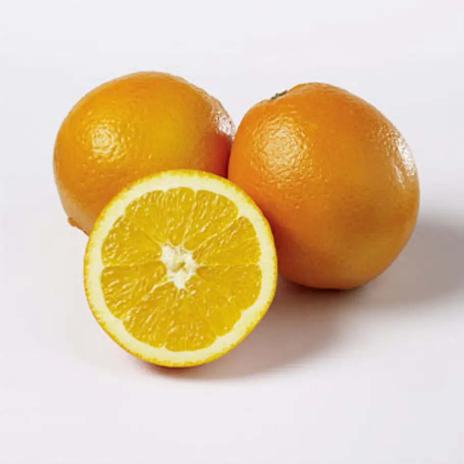 Die besten Fatburner fatburner orangen