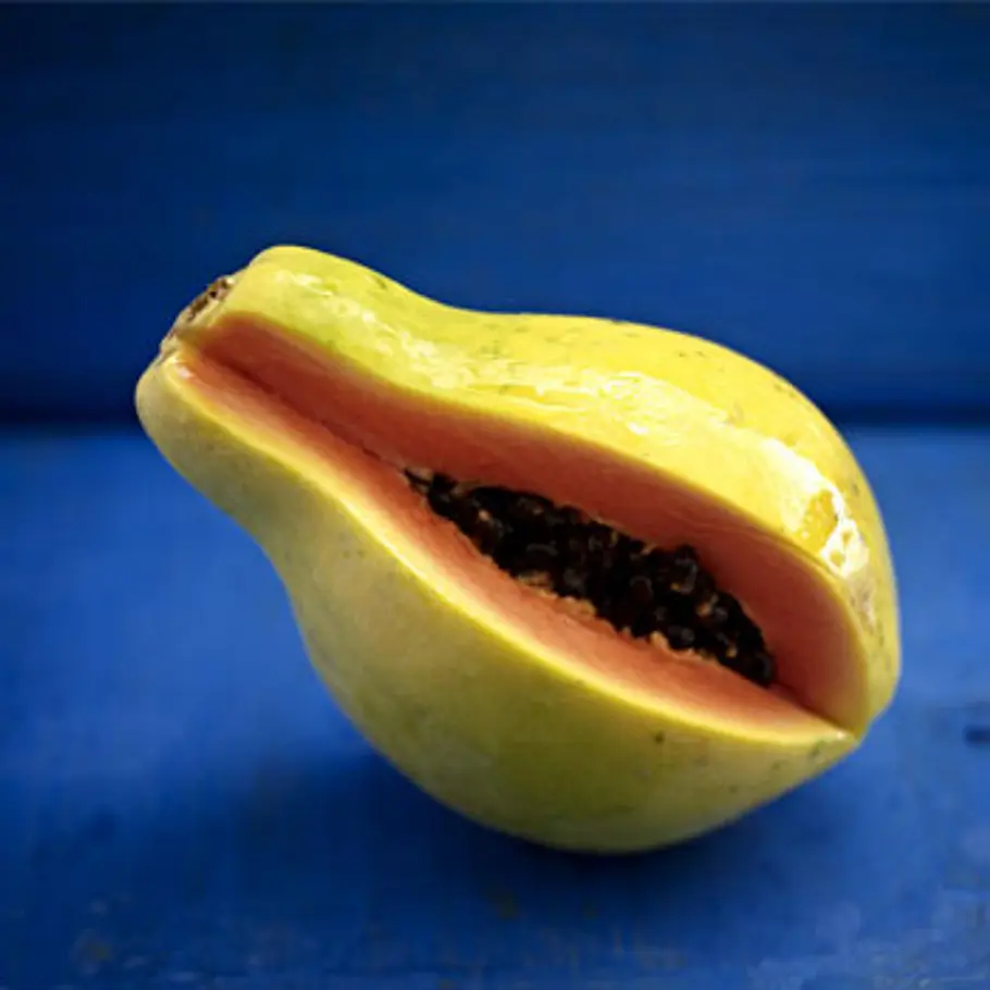 Die besten Fatburner fatburner papaya