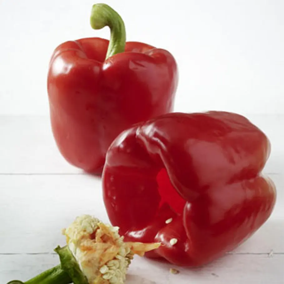 Die besten Fatburner fatburner paprika