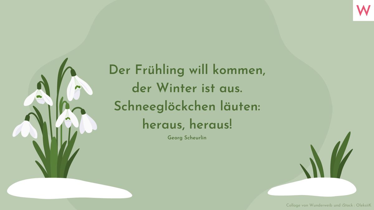 Der Frühling will kommen, der Winter ist aus. Schneeglöckchen läuten: heraus, heraus! (Georg Scheurlin)