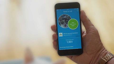 Die Tierschutz-App feed a dog macht Spenden einfach. - Foto: PR: feed a cat
