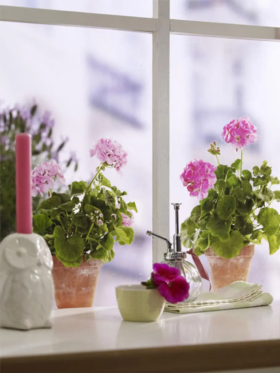 DIY: Fensterdeko basteln fensterdeko basteln