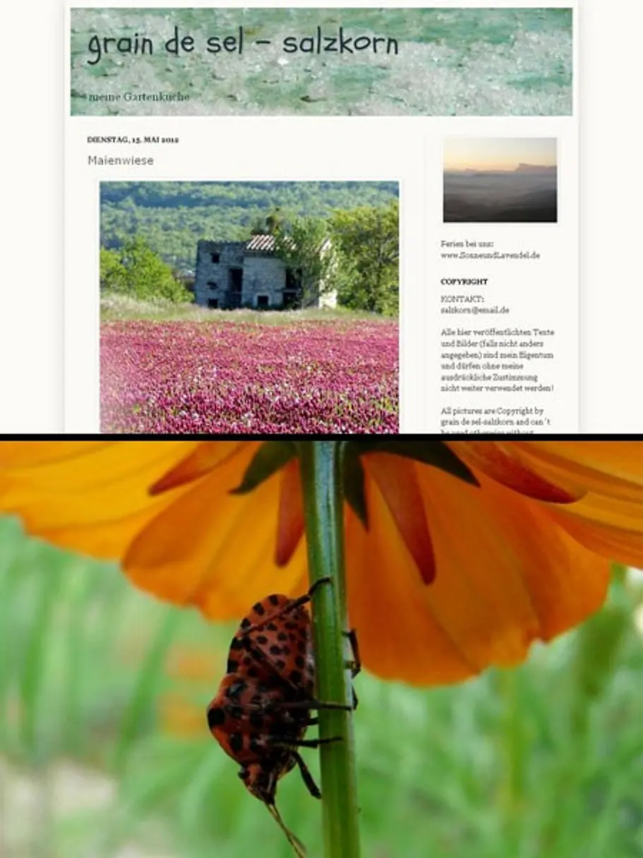 grain de sel - Salzkorn food blogs_450x600