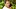 Mary und Frederik von Dänemark sind jetzt weit weg vom bösen Streit innerhalb der dänischen Königsfamilie... - Foto: IMAGO / PPE