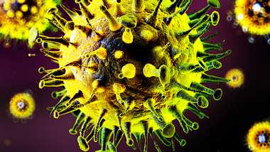 Frosch-Schleim gegen Grippe-Viren - Foto: iStock