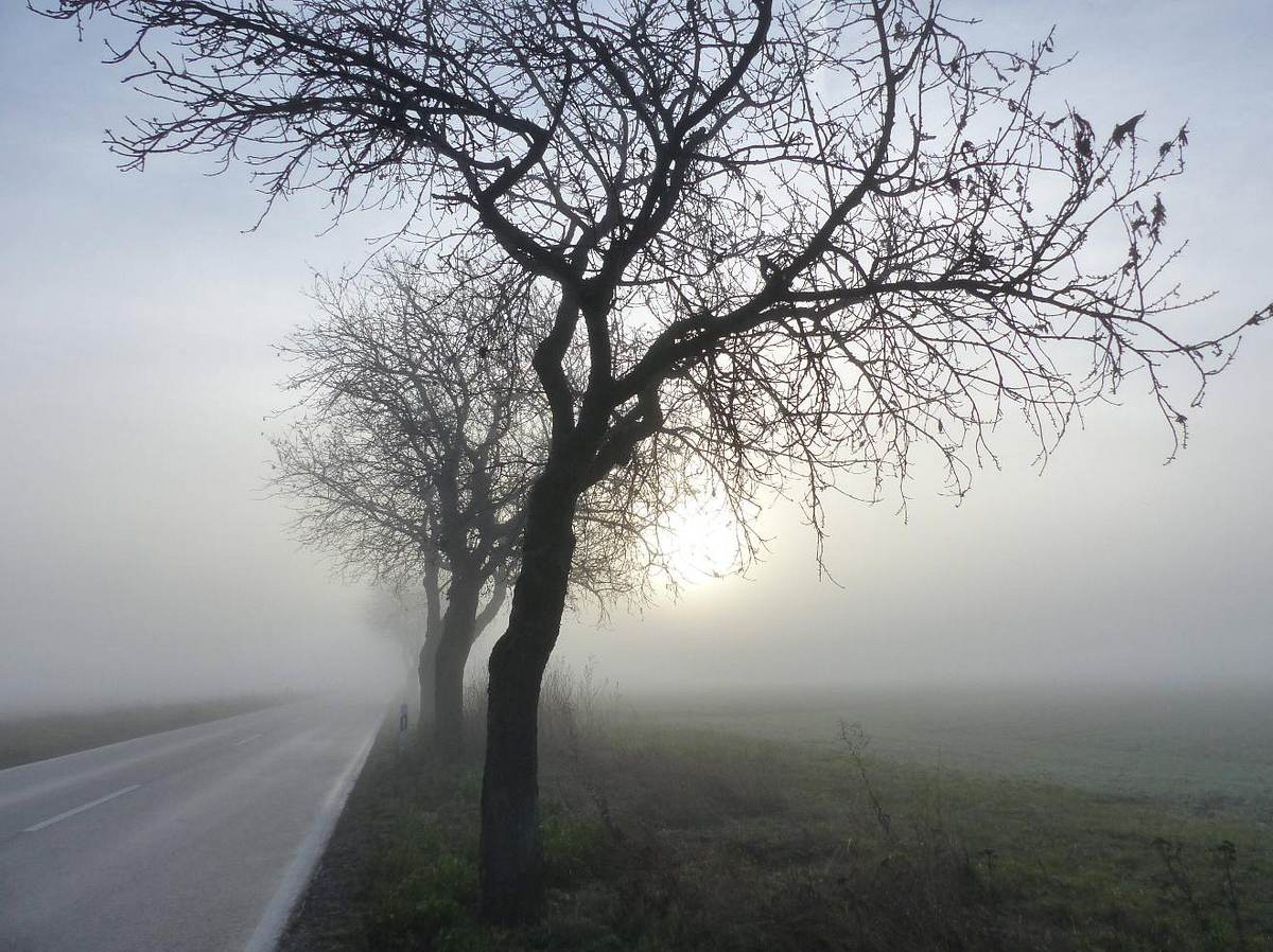 Frost-Schock: Hier wird es kalt und nebelig