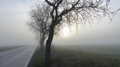 Frost-Schock: Hier wird es kalt und nebelig - Foto: imago images / CHROMORANGE