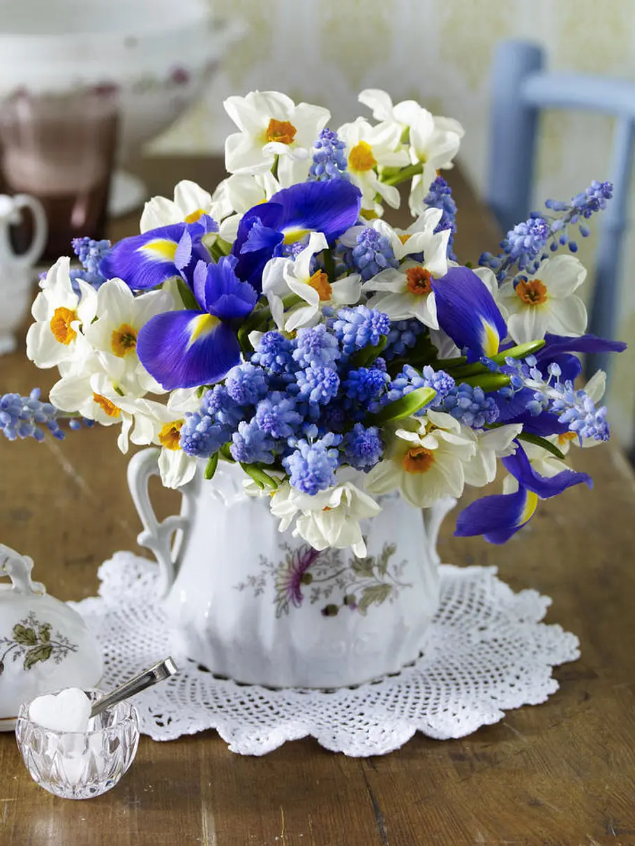 fruehblueher