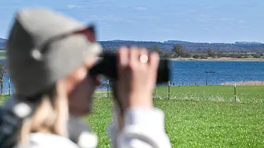 Eine Frau mit Fernglas schaut nach rechts, im Wasser hinter ihr ist Buckelwal Timmy zu sehen. - Foto: IMAGO / Marc Stinger Eine Frau mit Fernglas schaut nach rechts, im Wasser hinter ihr ist Buckelwal Timmy zu sehen. - Foto: IMAGO / Marc Stinger
