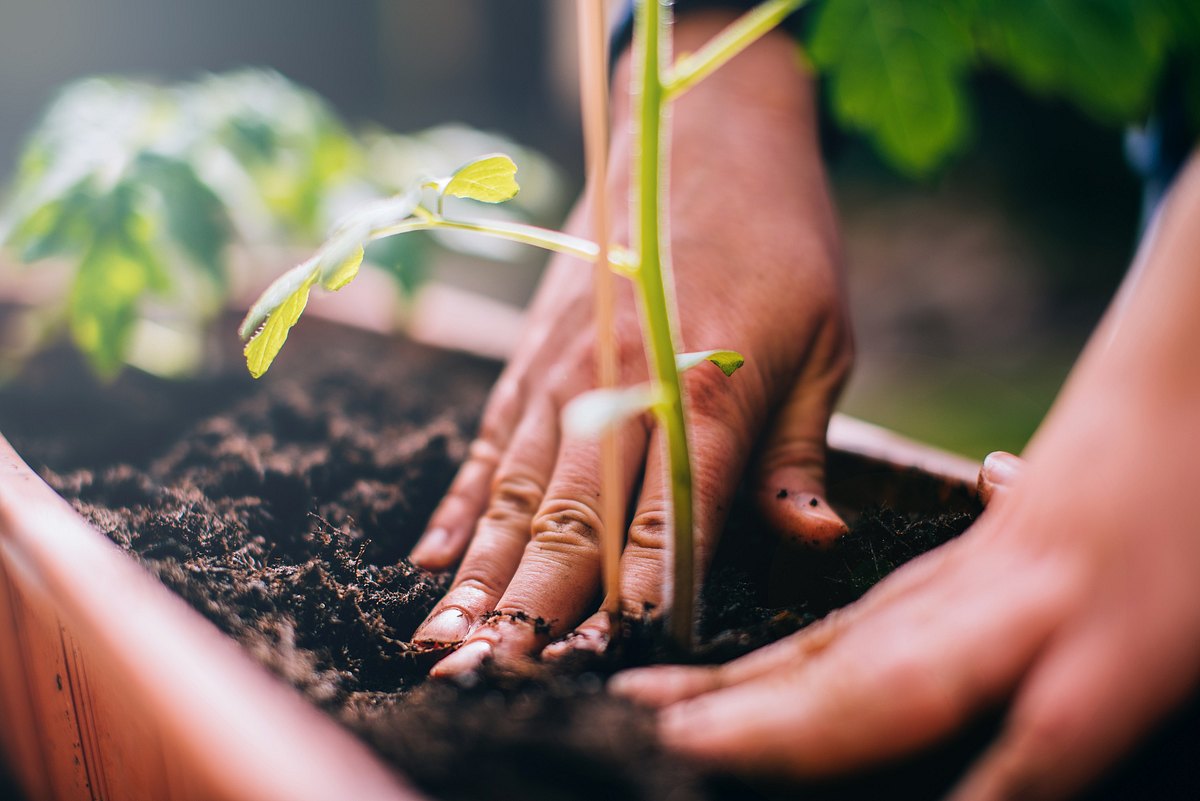 Gartenarbeit bis zu 100.000 Euro Strafe