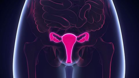 Eine Gebärmutterausschabung wird auch als „Kürettage“ oder „Abrasio uteri“ bezeichnet. Hier erfährst du mehr zu dem Eingriff und wann er notwendig ist. - Foto: iStock