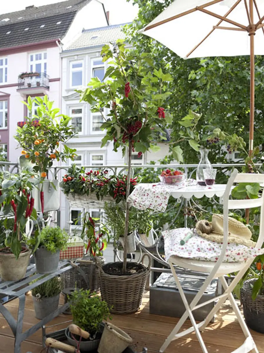 Gemüse und Kräuter auf dem Balkon : Ein kleines Paradies gemuese kraeuter balkon