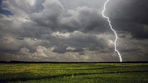 Daran erkennst Du, dass heute noch ein Unwetter kommt - Foto: iStock // Clint Spencer