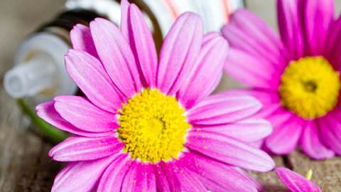 globuli - Foto: iStock