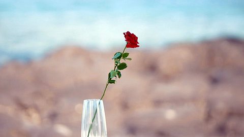 Bachelor Rose am Strand - Foto: RTL