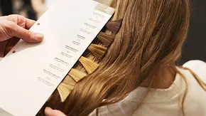 Hinterkopf einer Frau mit der Farbskala eines Friseurs - Foto: istock/ Prostock-Studio Hinterkopf einer Frau mit der Farbskala eines Friseurs - Foto: istock/ Prostock-Studio