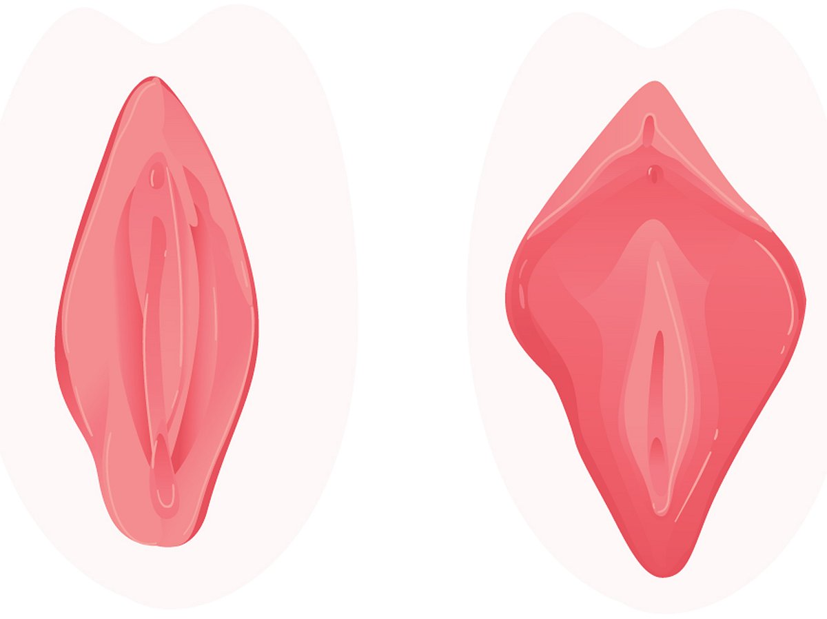 Grafik einer Vulva