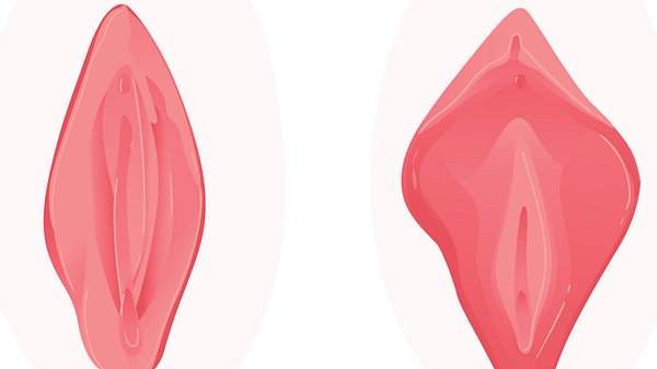 Hässliche Vagina: Was soll ich tun, wenn ich meine Vulva abstoßend finde? - Foto: sabelskaya/iStock