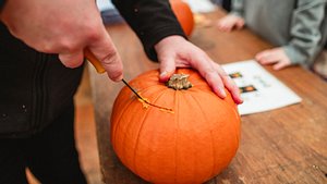 Halloween 2020 zu Hause: Beim Kürbisschnitzen kannst du dich kreativ austoben - Foto: SolStock/iStock