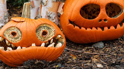 Halloween Kürbis Vorlagen: Die schönsten Ideen fürs Kürbis schnitzen - Foto: PETERLAKOMY/iStock