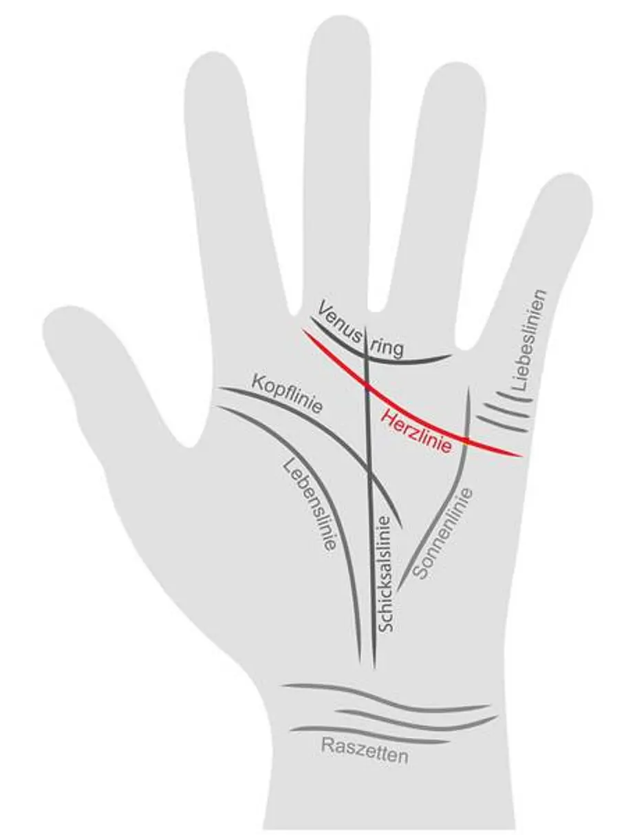 Eine Hand wurde mit allen Handlinien beschriftet. Die Herzlinie wird farblich hervorgehoben.