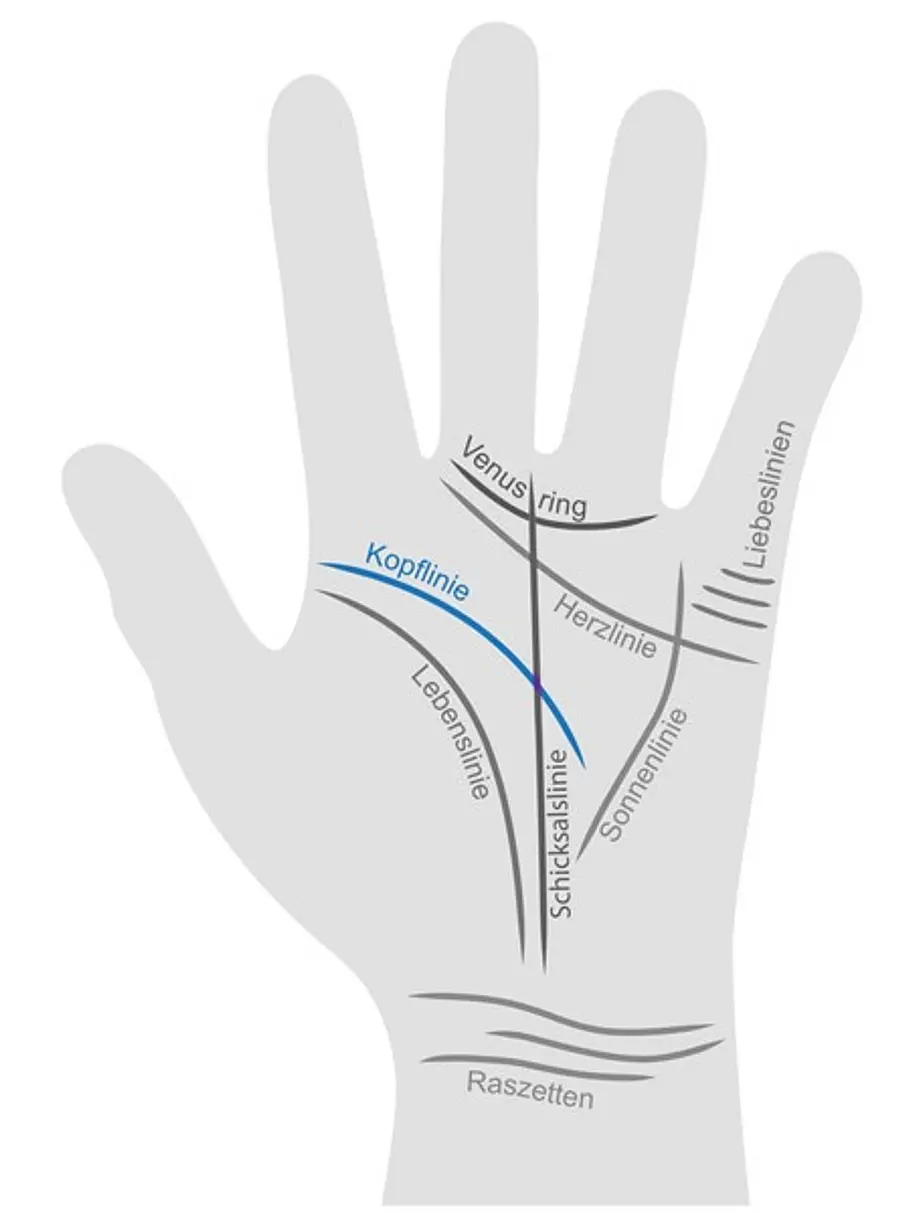 Eine Hand wurde mit allen Handlinien beschriftet. Die Kopflinie wird farblich hervorgehoben.