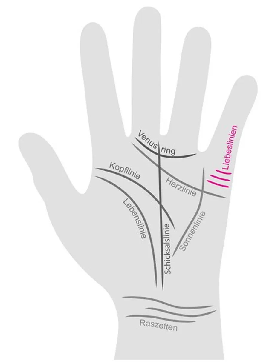 Eine Hand wurde mit allen Handlinien beschriftet. Die Liebeslinie wird farblich hervorgehoben.