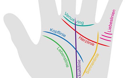 Eine Hand wurde mit allen Handlinien beschriftet. - Foto: snyggg.de - Fotolia