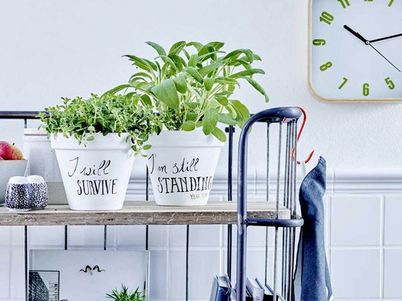 Anleitung für Blumentöpfe mit Handlettering Anleitung für Blumentöpfe mit Handlettering