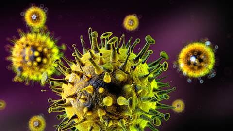 Hantavirus breitet sich weiter in Deutschland aus: Robert-Koch-Institut meldet über 1.200 Fälle - Foto: iStock / sitox