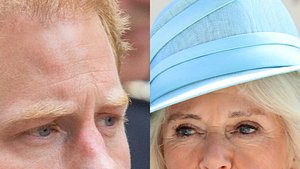 Prinz Harry: Jetzt zerstört er Camilla Parker Bowles! - Foto: Imago Images