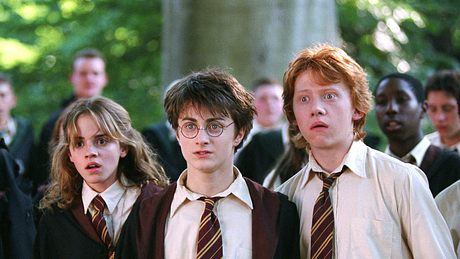 Harry Potter Serie: Diese Schauspieler spielen Harry, Hermine und Co! - Foto: IMAGO / Cinema Publishers Collection