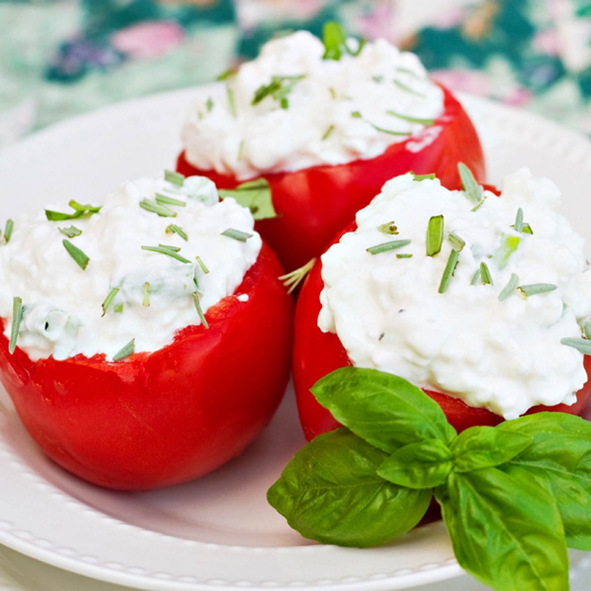 heisshunger huettenkaese tomaten