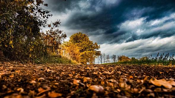 Achtung, der Herbst kommt! Jetzt wirds richtig stürmisch - Foto: Sascha_the_photographer89/iStock