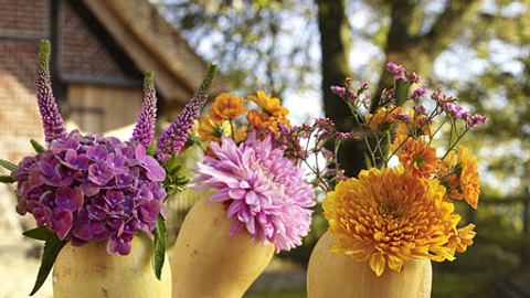 herbstdeko basteln - Foto: deco&style