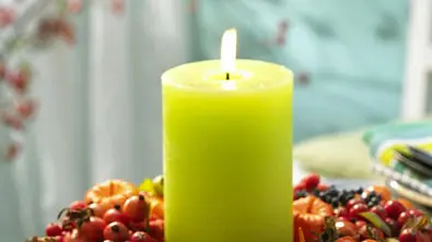 herbstdeko beeren - Foto: Bauer Media Group