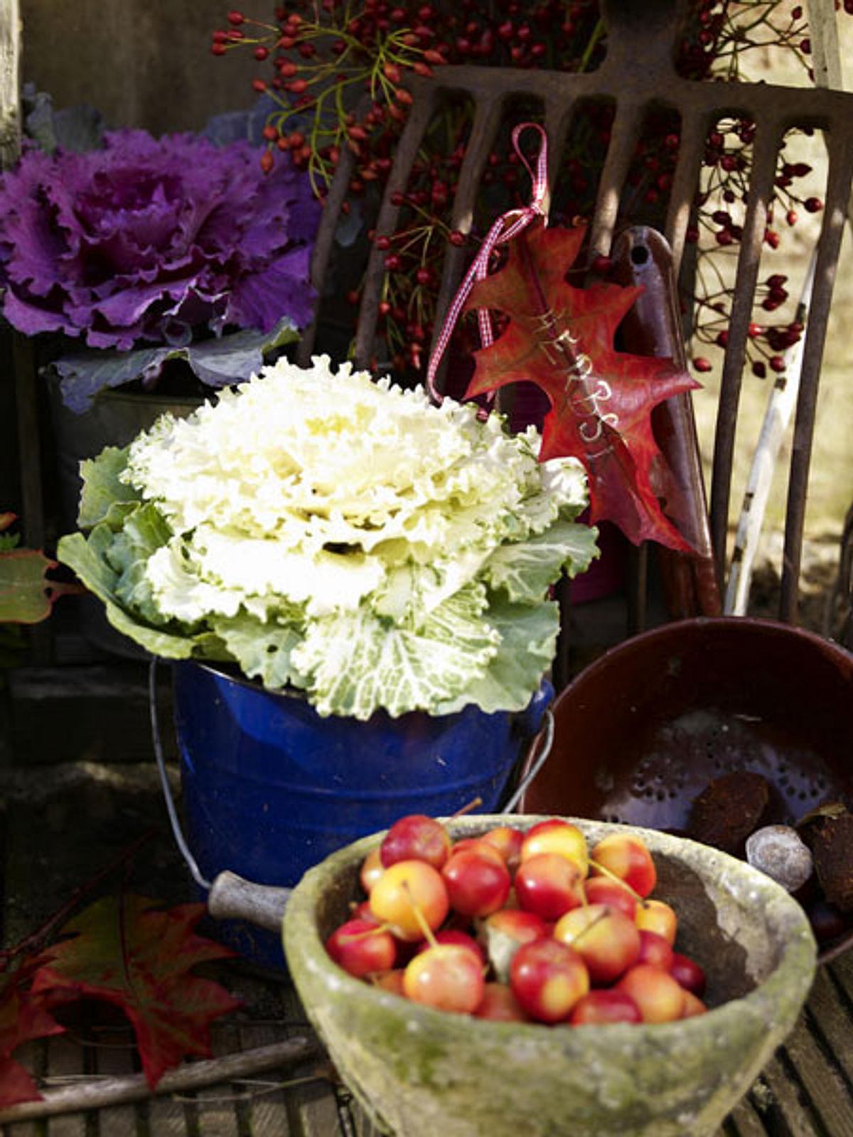 herbstdeko laub