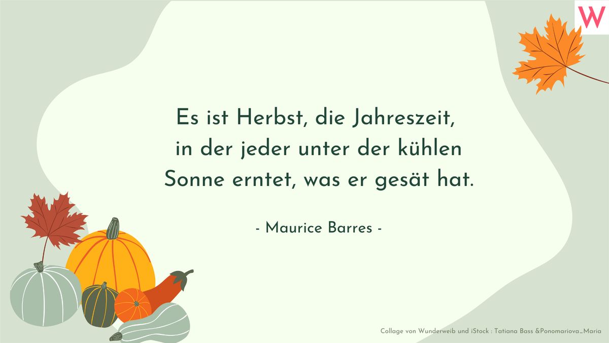 Herbstsprüche: Zitate, kurze Gedichte und Sprüche über den Herbst 15