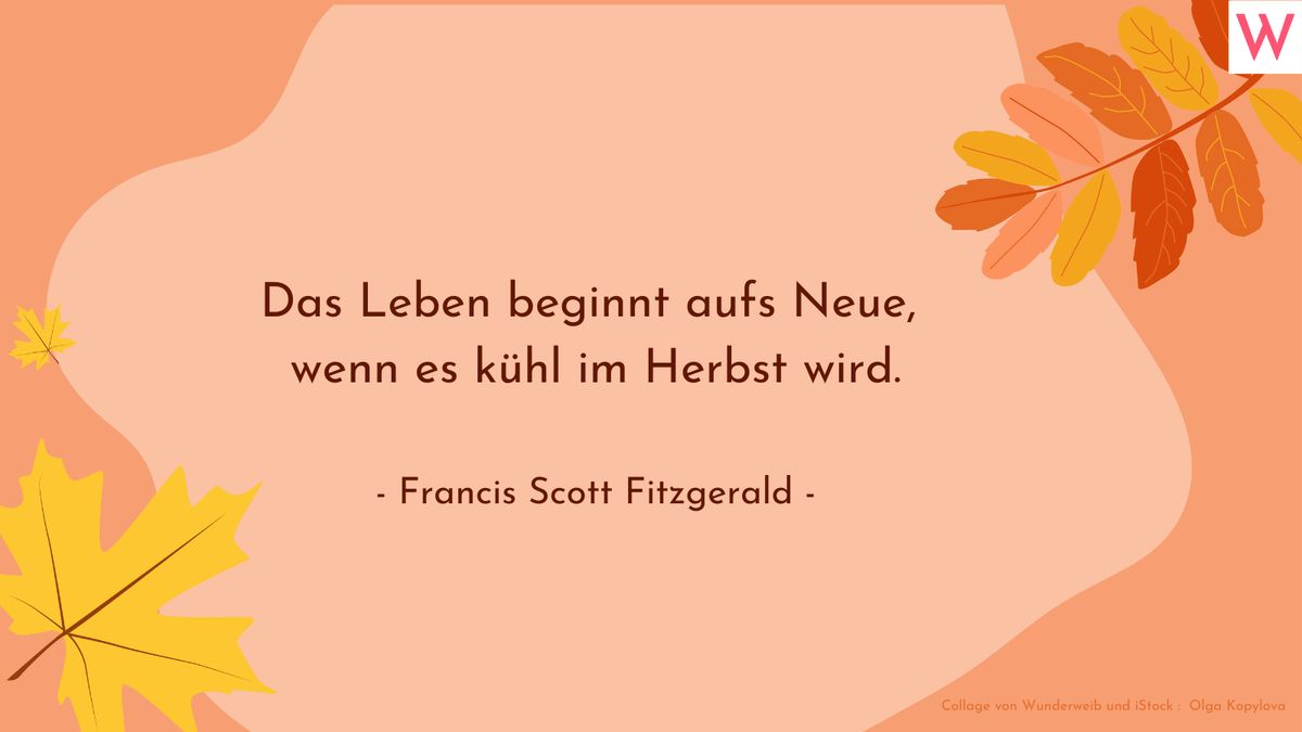 Herbstsprüche: Zitate, kurze Gedichte und Sprüche über den Herbst 28