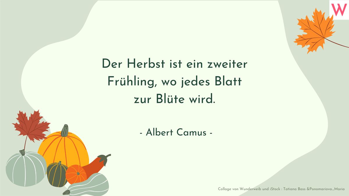 Herbstsprüche: Zitate, kurze Gedichte und Sprüche über den Herbst 30