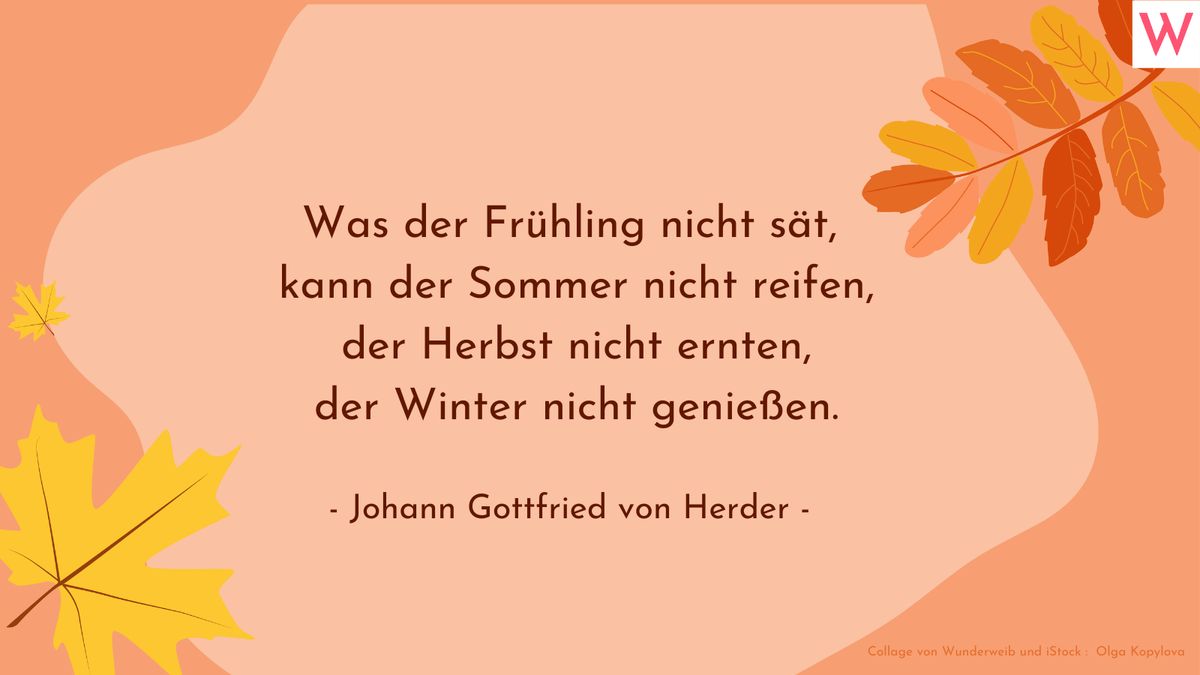 Herbstsprüche: Zitate, kurze Gedichte und Sprüche über den Herbst 10